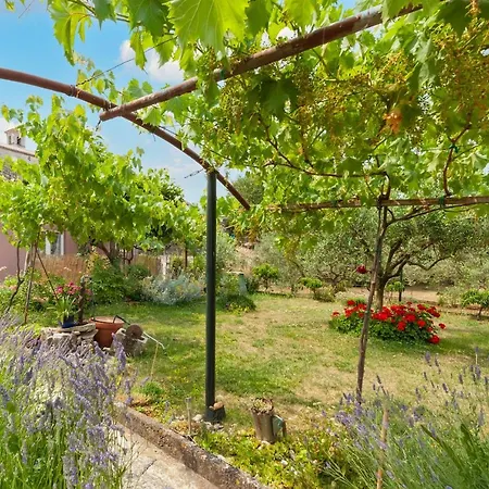 Apartament Cave Rovinj